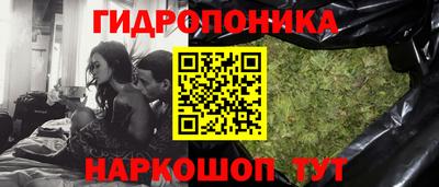 шишки Кулебаки