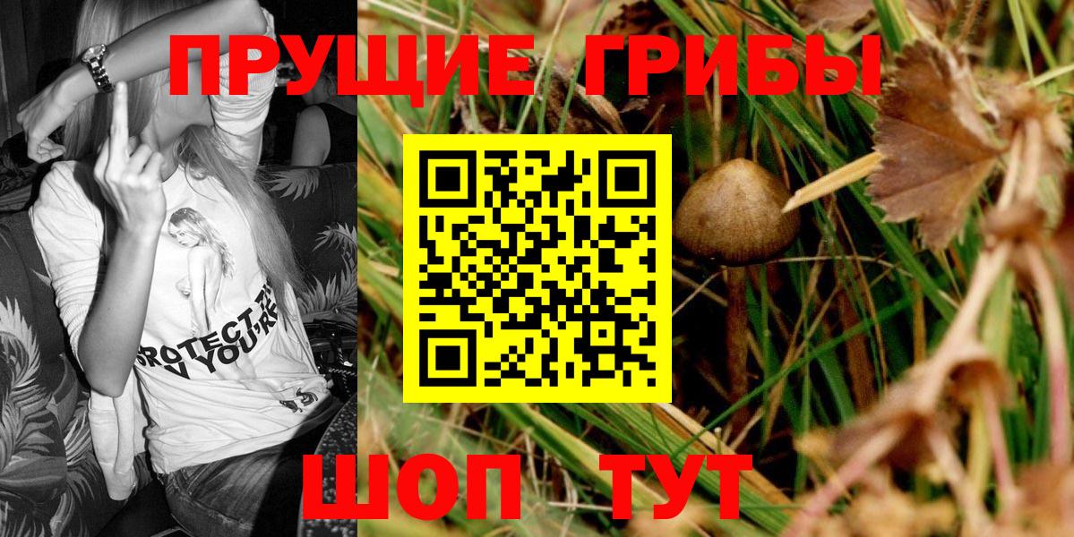 Псилоцибиновые грибы MAGIC MUSHROOMS  Вход с VPN  наркошоп  Кинель 